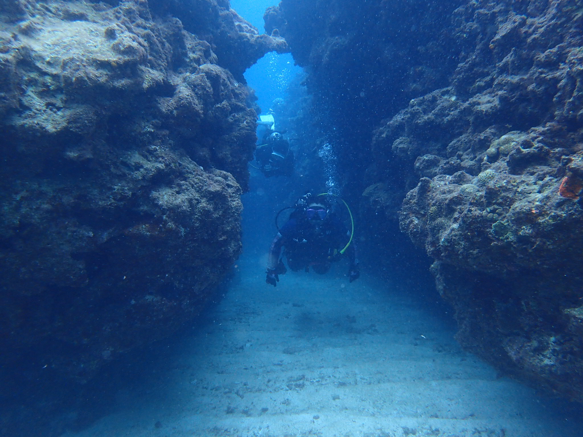 ボートファンダイビング