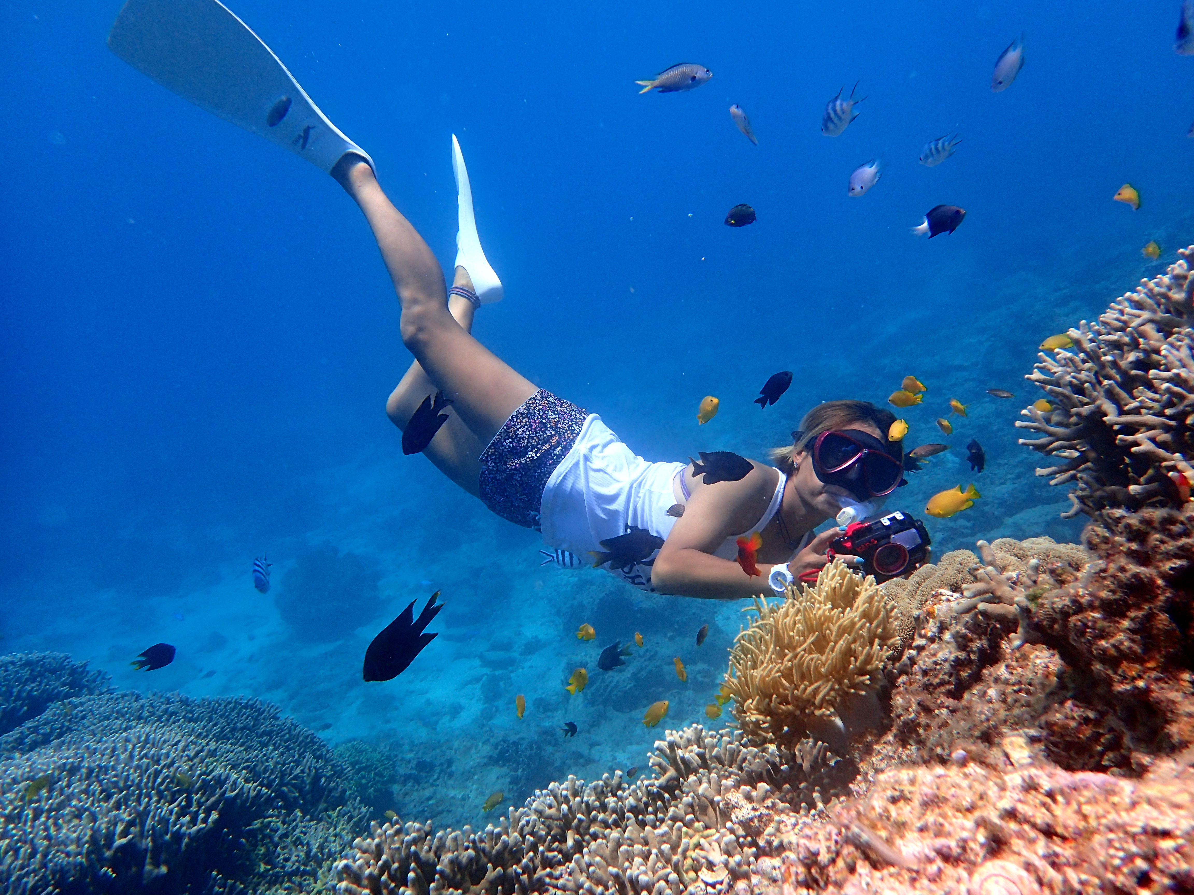 ボートスキンダイビング