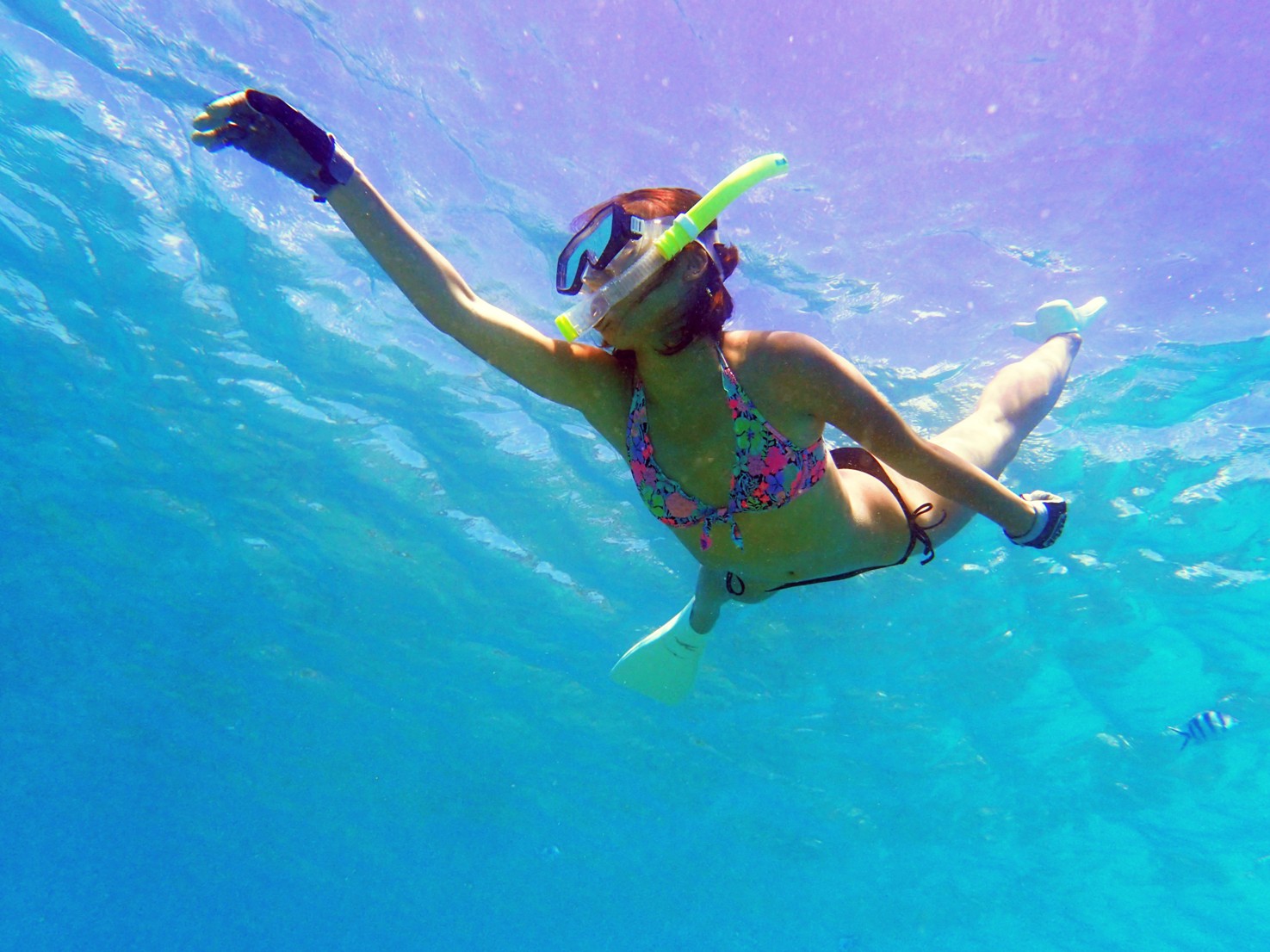 ピナクルお問合せ